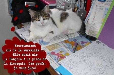 NON MAIS !!