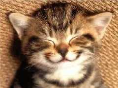 sourire